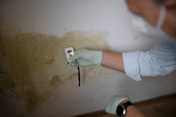 Best Mold Testing  in Bryan, OH